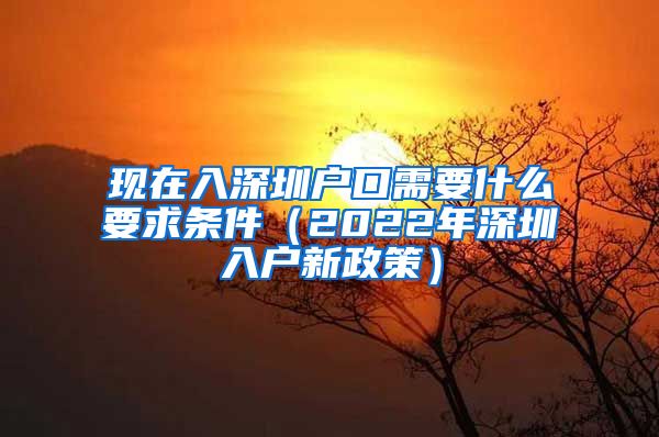现在入深圳户口需要什么要求条件(2022年深圳入户新政策)