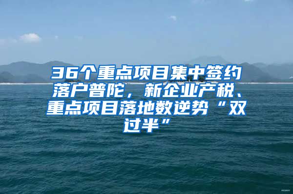 36个重点项目集中签约落户普陀，新企业产税、重点项目落地数逆势“双过半”