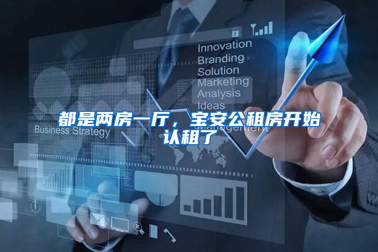 都是两房一厅，宝安公租房开始认租了