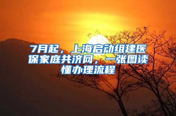 7月起,上海启动组建医保家庭共济网,一张图读懂办理流程