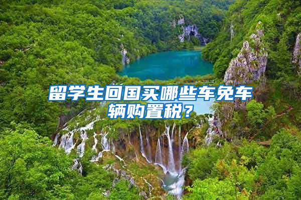 留学生回国买哪些车免车辆购置税?