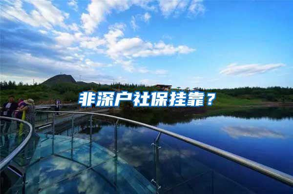 非深户社保挂靠?