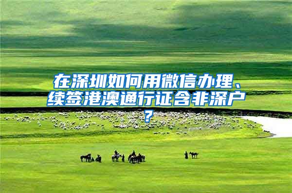 在深圳如何用微信办理、续签港澳通行证含非深户?