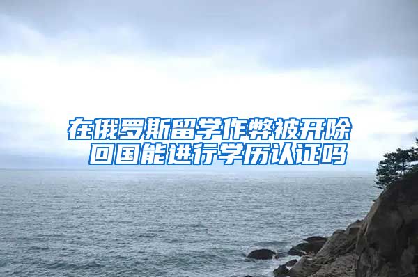 在俄罗斯留学作弊被开除 回国能进行学历认证吗