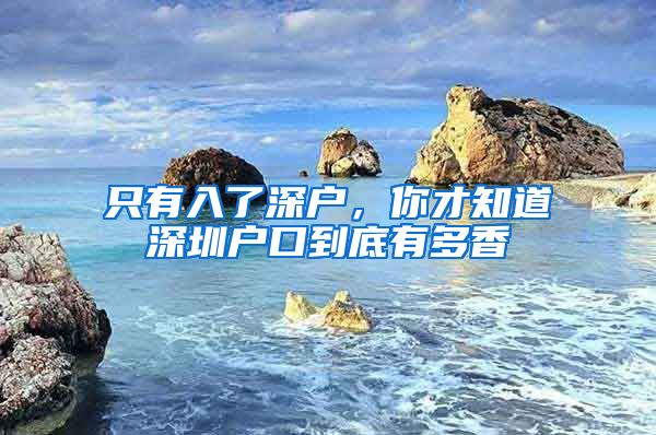 只有入了深户，你才知道深圳户口到底有多香