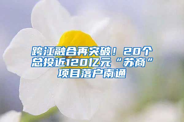 跨江融合再突破！20个总投近120亿元“苏商”项目落户南通