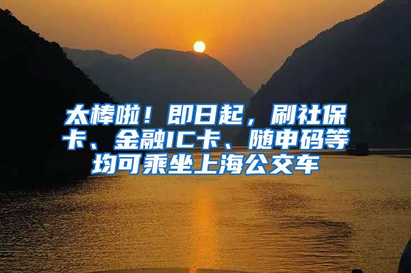 太棒啦！即日起，刷社保卡、金融IC卡、随申码等均可乘坐上海公交车