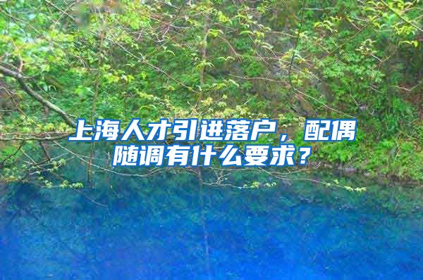 上海人才引进落户，配偶随调有什么要求？