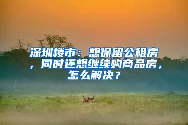 深圳楼市：想保留公租房，同时还想继续购商品房，怎么解决？