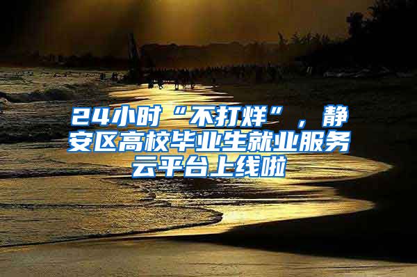 24小时“不打烊”，静安区高校毕业生就业服务云平台上线啦
