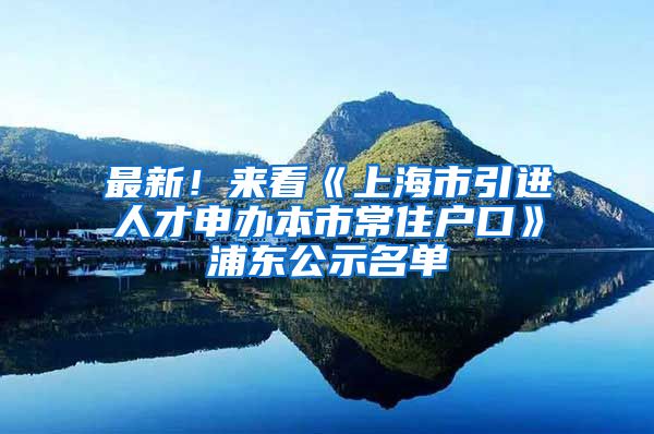 最新!来看《上海市引进人才申办本市常住户口》浦东公示名单