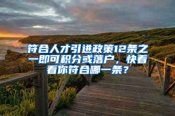 符合人才引进政策12条之一即可积分或落户，快看看你符合哪一条？
