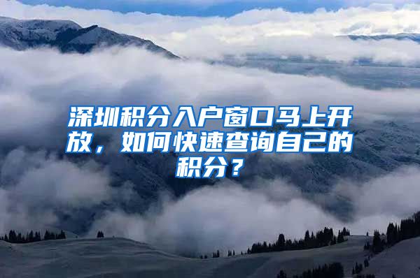 深圳积分入户窗口马上开放,如何快速查询自己的积分?