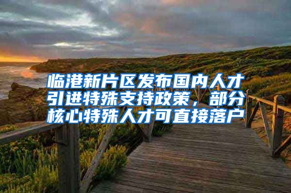 临港新片区发布国内人才引进特殊支持政策,部分核心特殊人才可直接落户