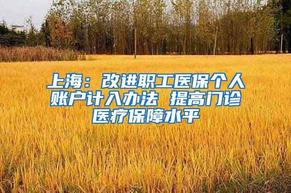 上海:改进职工医保个人账户计入办法 提高门诊医疗保障水平