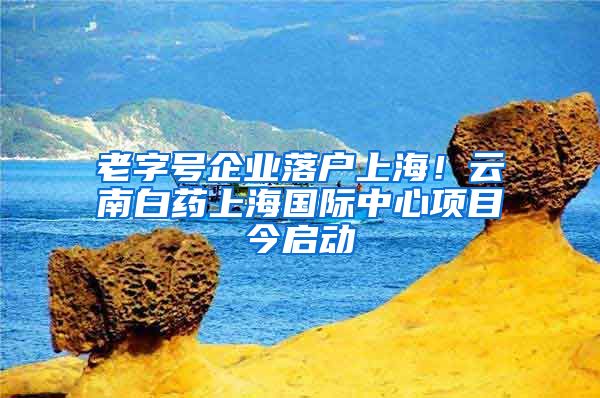 老字号企业落户上海！云南白药上海国际中心项目今启动