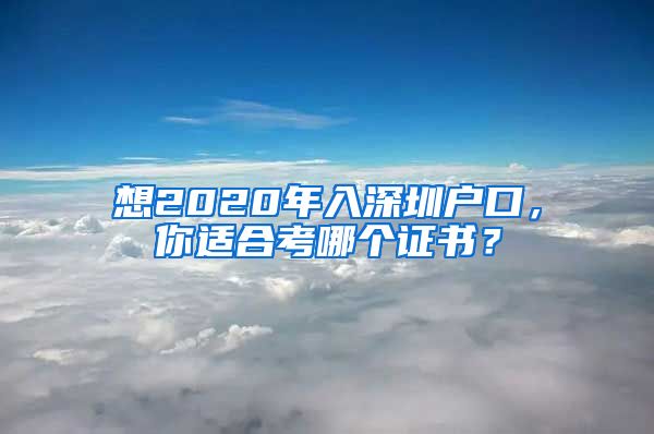 想2020年入深圳户口,你适合考哪个证书?