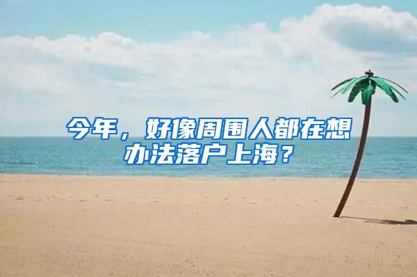 今年,好像周围人都在想办法落户上海?