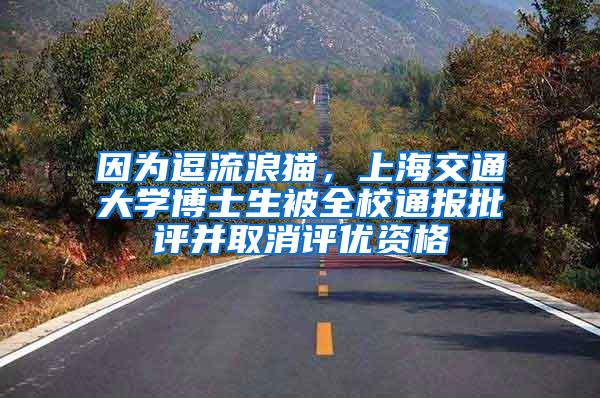 因为逗流浪猫,上海交通大学博士生被全校通报批评并取消评优资格