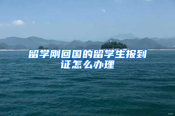 留学刚回国的留学生报到证怎么办理