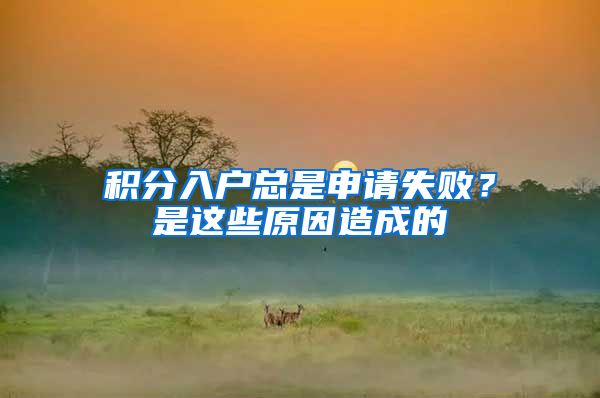 积分入户总是申请失败?是这些原因造成的