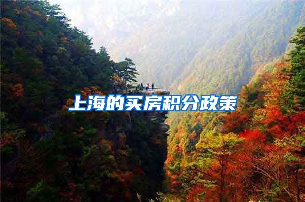 上海的买房积分政策