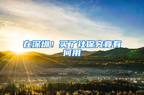 在深圳!买了社保究竟有何用