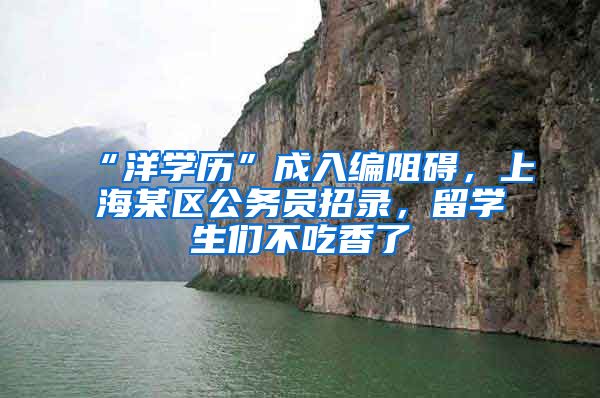 “洋学历”成入编阻碍，上海某区公务员招录，留学生们不吃香了