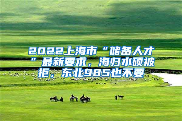2022上海市“储备人才”最新要求，海归水硕被拒，东北985也不要