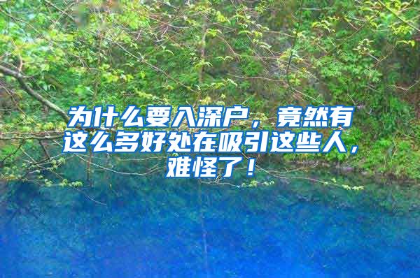 为什么要入深户，竟然有这么多好处在吸引这些人，难怪了！