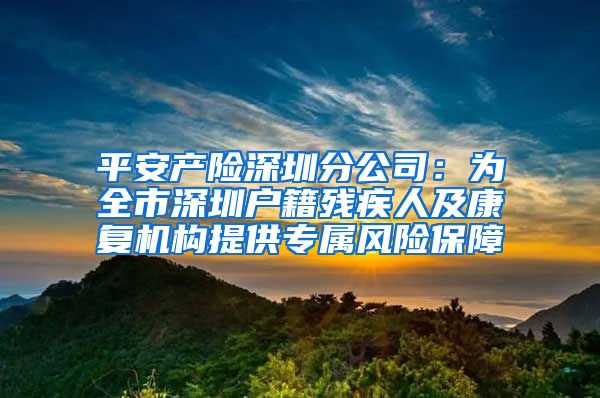平安产险深圳分公司:为全市深圳户籍残疾人及康复机构提供专属风险保障