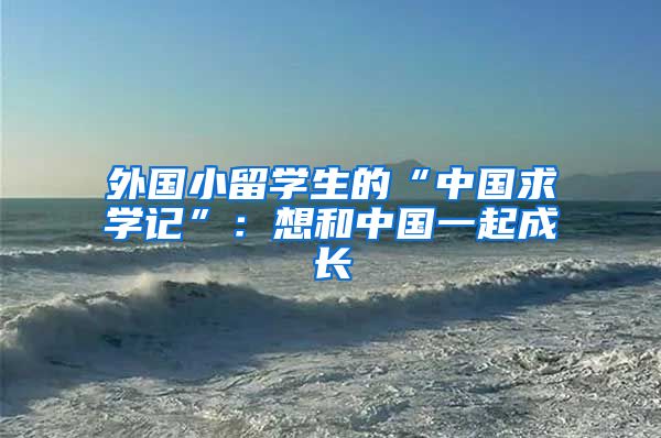外国小留学生的“中国求学记”：想和中国一起成长