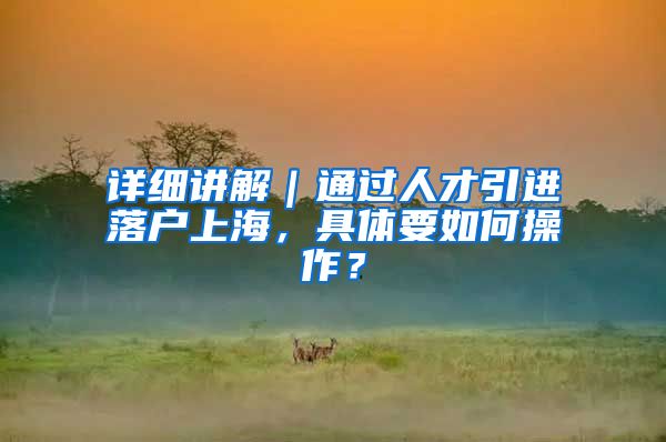 详细讲解｜通过人才引进落户上海，具体要如何操作？