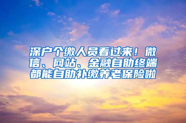 深户个缴人员看过来！微信、网站、金融自助终端都能自助补缴养老保险啦