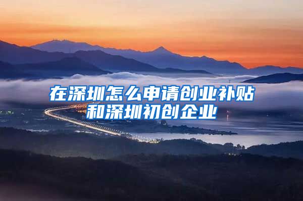 在深圳怎么申请创业补贴和深圳初创企业