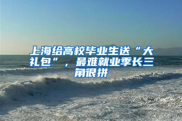 上海给高校毕业生送“大礼包”，最难就业季长三角很拼