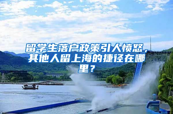 留学生落户政策引人愤怒,其他人留上海的捷径在哪里?