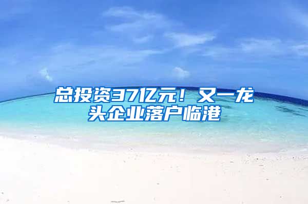 总投资37亿元！又一龙头企业落户临港