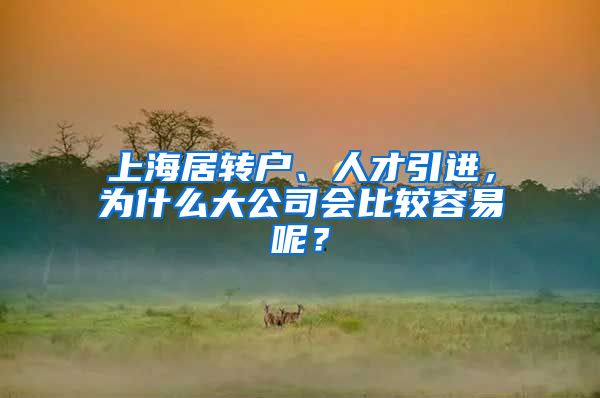 上海居转户、人才引进,为什么大公司会比较容易呢?