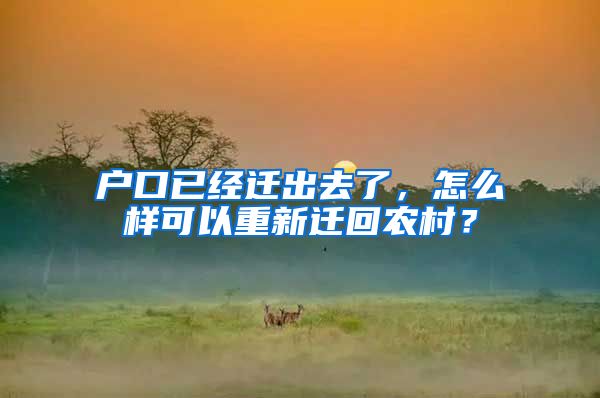 户口已经迁出去了,怎么样可以重新迁回农村?