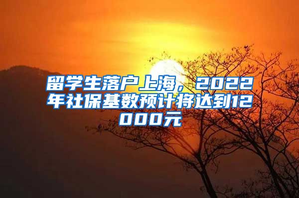 留学生落户上海,2022年社保基数预计将达到12000元