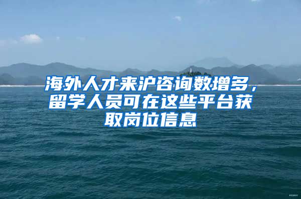 海外人才来沪咨询数增多，留学人员可在这些平台获取岗位信息