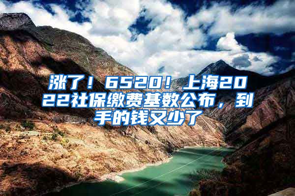 涨了!6520!上海2022社保缴费基数公布,到手的钱又少了
