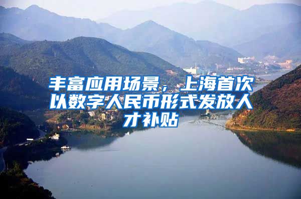 丰富应用场景，上海首次以数字人民币形式发放人才补贴