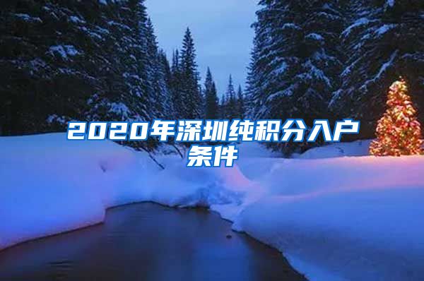 2020年深圳纯积分入户条件