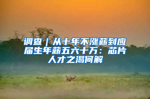 调查｜从十年不涨薪到应届生年薪五六十万：芯片人才之渴何解