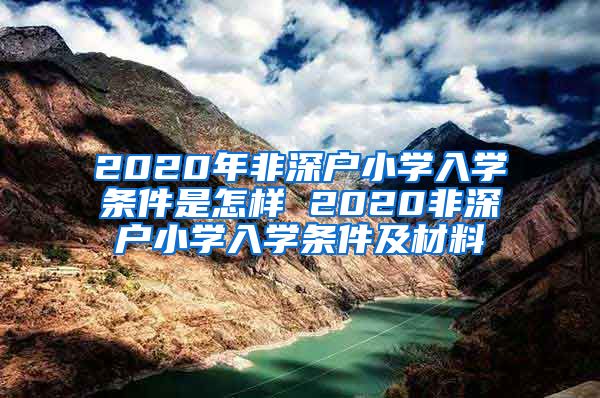 2020年非深户小学入学条件是怎样 2020非深户小学入学条件及材料