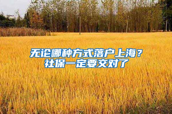 无论哪种方式落户上海？社保一定要交对了