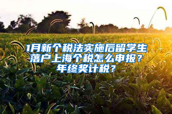 1月新个税法实施后留学生落户上海个税怎么申报?年终奖计税?