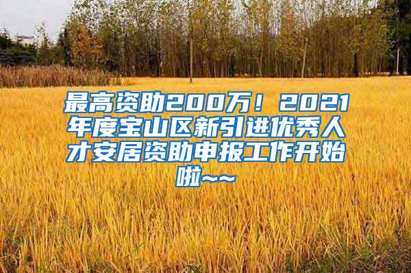 最高资助200万！2021年度宝山区新引进优秀人才安居资助申报工作开始啦~~